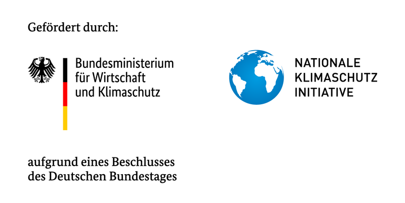 ©BMWK Förderträger Logo BMWK