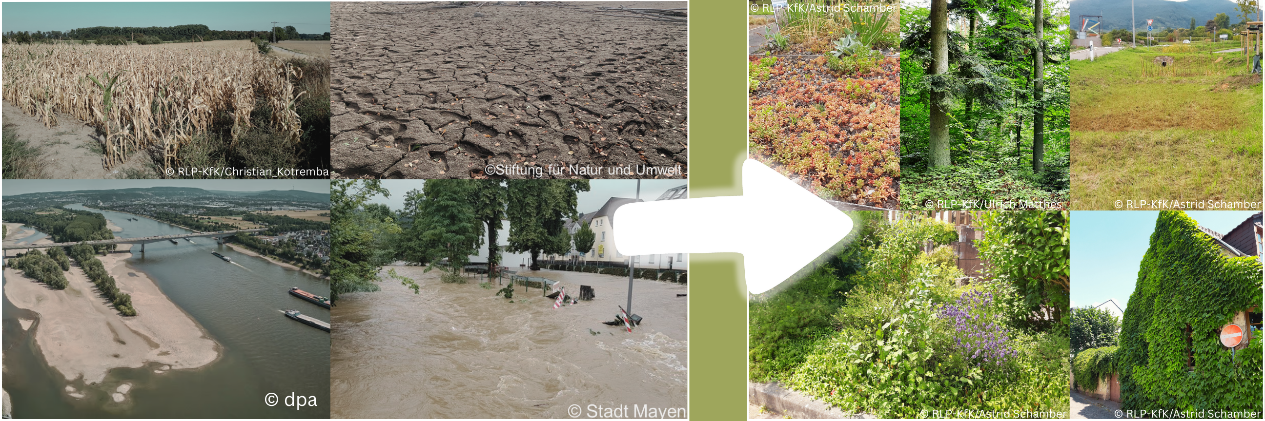 Collage von Beispielen für Auswirkungen des Klimawandels mit einem Pfeil, der zu einer Collage mit Anpassungsmaßnahmen zeigt